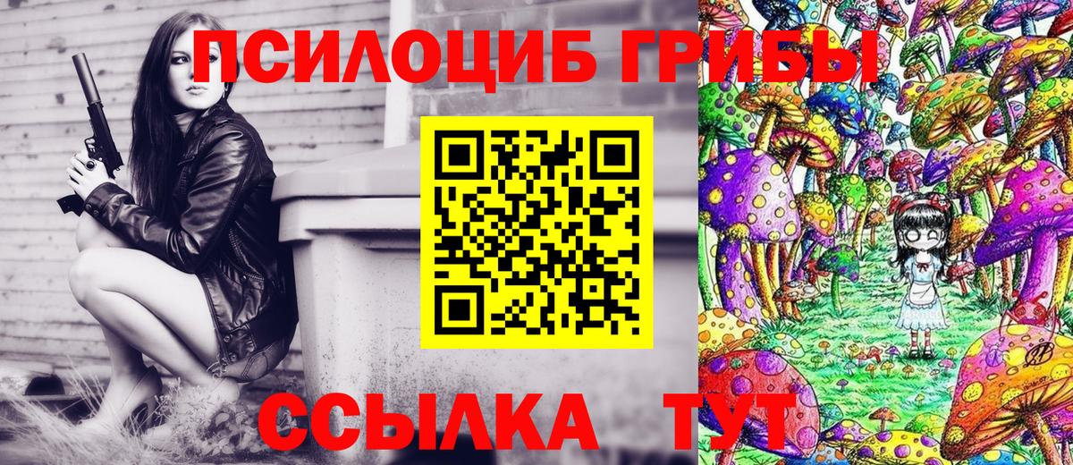 Губаха  Галлюциногенные грибы Cubensis  Вход с VPN 