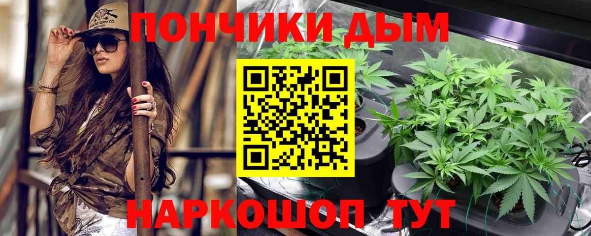 МАРИХУАНА конопля Губаха